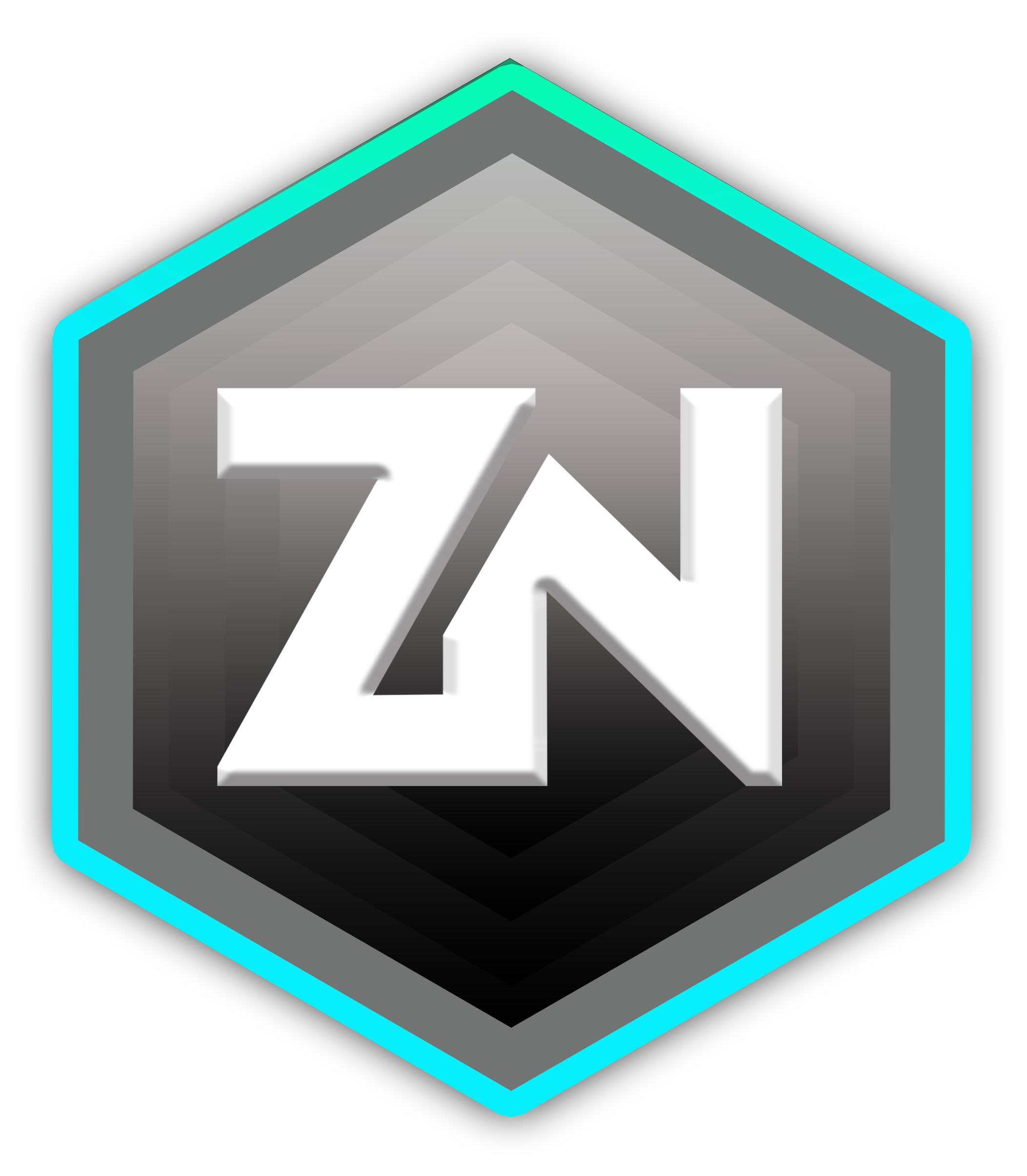 ZNST Logo